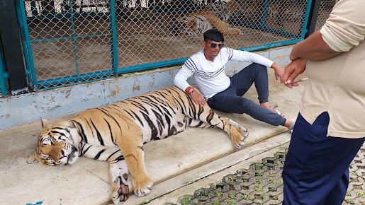 Af1qippo4cekitk0k2s3g 2nukss0ctubnfq5ebufhjf=s515 K No