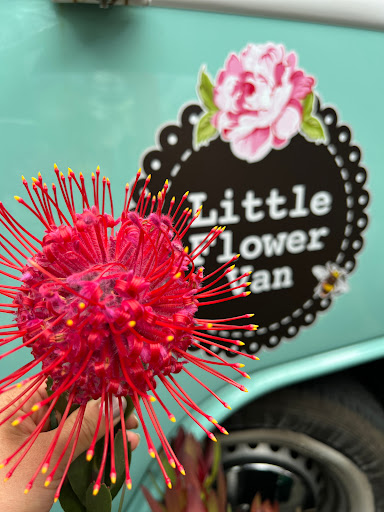 Little Flower Van - Thumbnail