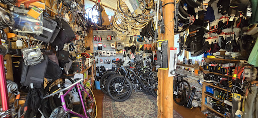 Wildlife Cycles Gallery - United States
