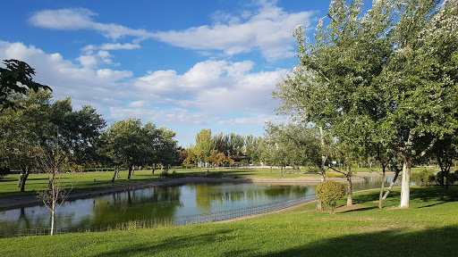 Oeste Park Logo