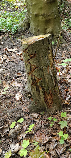Höhenanlage - Thumbnail