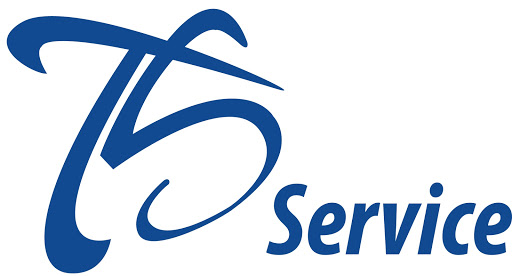 TS Service - Visual