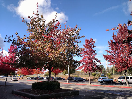 Mariner High School