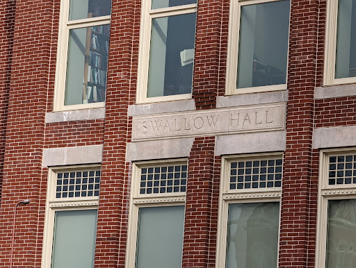 Swallow Hall - Visual