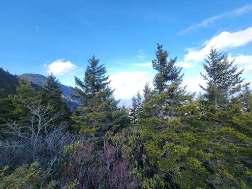 Woody Ridge Trailhead - Thumbnail