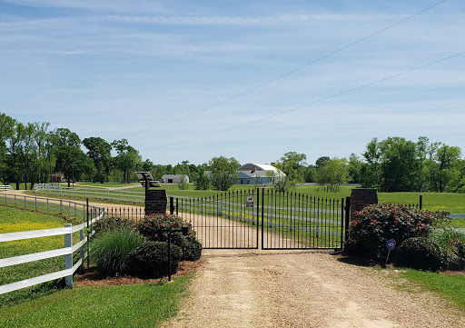 Belcavallo Farm LLC - Thumbnail