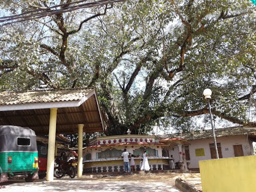 Makumbura Paththini Dewalaya, Author: TC Bandarawela