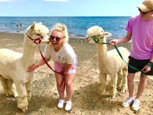 Cranfield Alpacas, Winner- Best Tourism Experience in Northern Ireland - Thumbnail