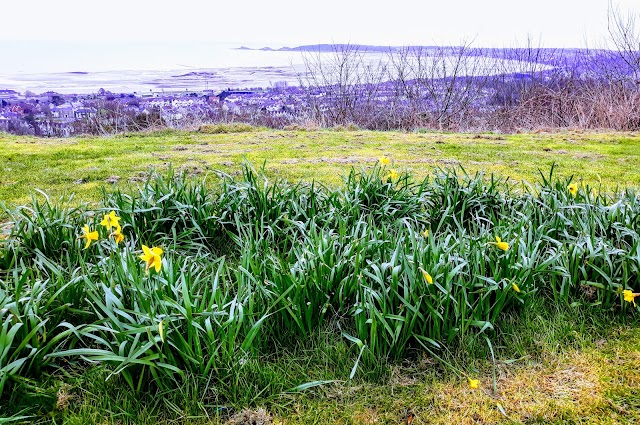 Swansea Bay