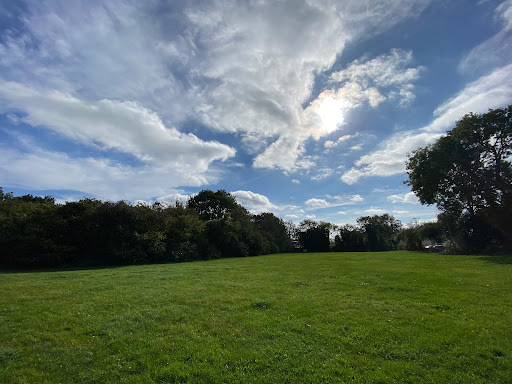 Hazel Copse - Visual