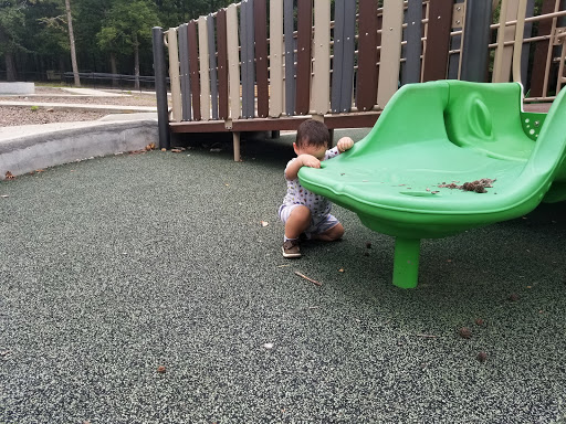 Wilbur D. Mills Park - Thumbnail