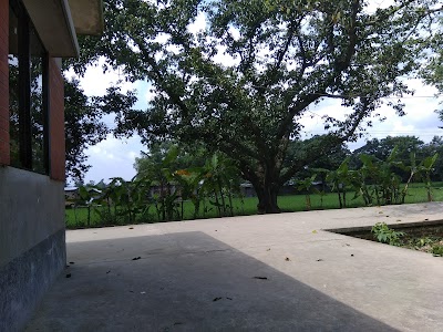 Photos of Sarkarhat Railway Station