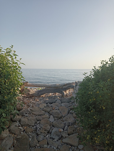 Al Muretto - Visual