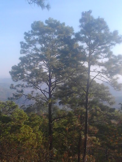 park