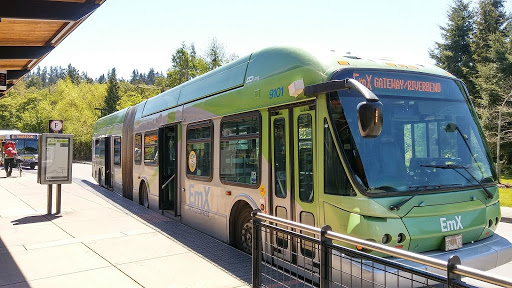 Springfield Transit Station - Visual