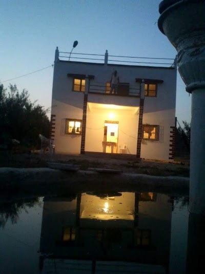 Photos of ferme d'olives