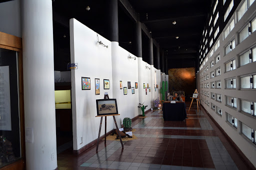 Salas de exposiciones Edificio Museo y Biblioteca Unison - Thumbnail