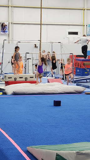 Level Up Gymnastics - Thumbnail
