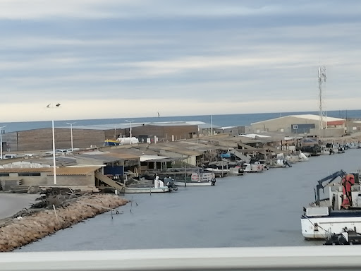 Huitres Leucate - Thumbnail
