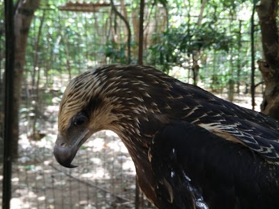 Photos of Wildlife Training Center