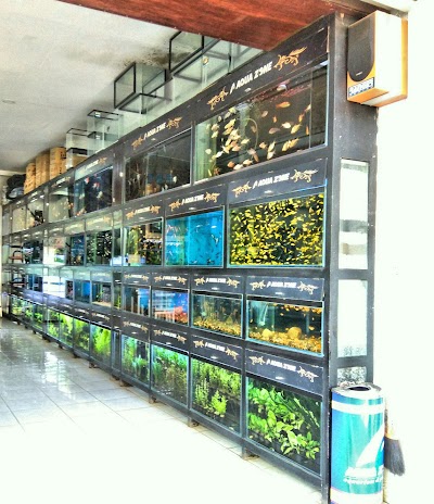 photo of AquaZone Aquarium & Pet Shop