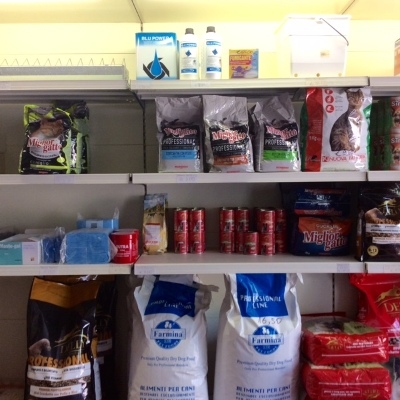 Netti Com - Agrisud - Visual