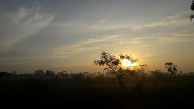 Photos of surVive GIEZAG