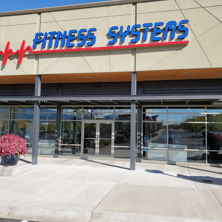 Fitness Systems Inc Exercise