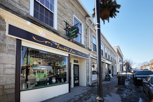 Treasure Lane by the Tay Logo