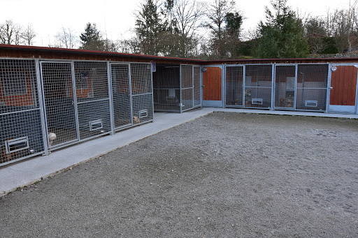 Photo de Yakari Services Animaux à Saint-Brice-sur-Vienne (87200)
