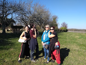 Photo n°13 de Forme & Châteaux à Libourne (Agence de visites touristiques)