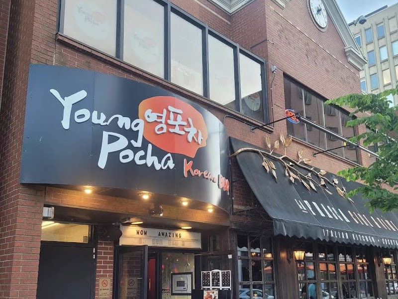 Young Pocha — photo