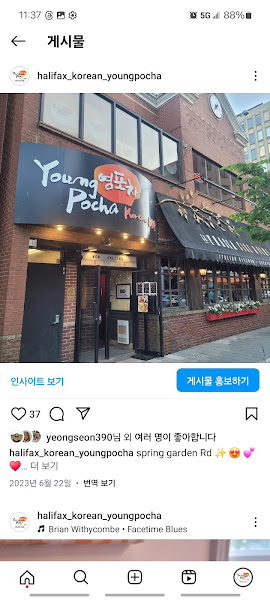 Young Pocha — photo