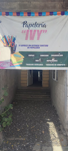 Papelería Ivy Gallery - Mexico