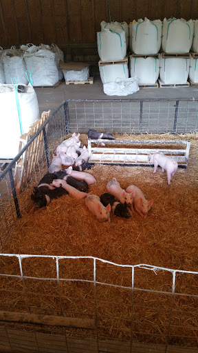Mckillip's Feedlot