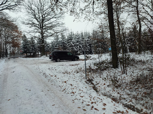 Parkplatz/Holzlagerstelle am Zellwald - Thumbnail