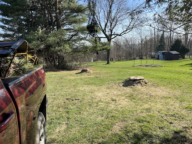 CH tree service LLC