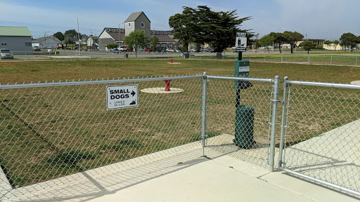 Crescent City Dog Town - Thumbnail