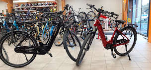 Photo n°3 de BOUVIER CYCLES ET MOTOCULTURE à Château-Gontier-sur-Mayenne (Service de réparation de tondeuses à gazon)