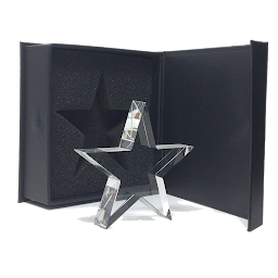 Photo n°13 de Trophées en verre à Le Mesnil-le-Roi (Magasin de trophées)