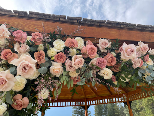 Creative Edge Flowers - Visual