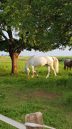 Photo n°8 de Gîte 