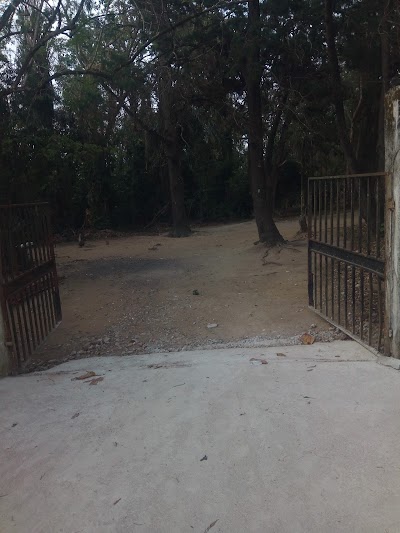 Photos of KNUST Botanical Garden