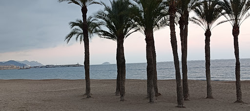 El Maror - Visual