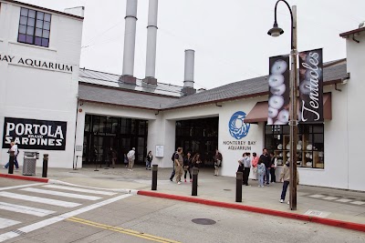 Photos of Monterey Bay Aquarium