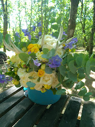 Photo n°28 de SDSQ Créations à Avensan (Service de plantes d'intérieur)