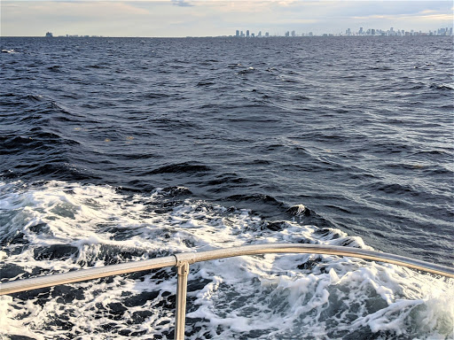 Honu Charters - Visual