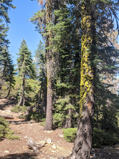 Kangaroo Lake Campground - Thumbnail
