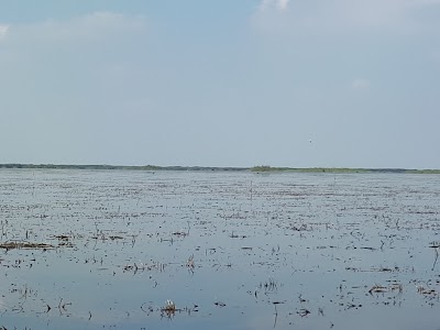 natural-feature