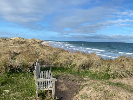 Seahouses - Visual